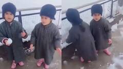 Viral Video: '...दूध की लहरें हैं', कश्मीर में बर्फ से खेलते बच्चों का वीडियो वायरल
