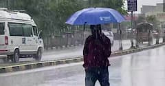Maharashtra Weather : आजही राज्यातील 'या' भागात पावसाची शक्यता, पुढील 3 ते 4 दिवस 'या' जिल्ह्यांना पावसाचा इशारा