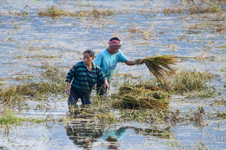 दरअसल जिन किसानों ने खाते की गलत जानकारी दी है या फिर जिनके खाते की केवाईसी पूरी नहीं हुई है, उन्हें योजना की अगली किस्त नहीं मिलेगी.