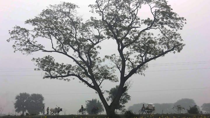 আপাতত কয়েকদিন পারদ ঊর্ধ্বমুখী হবে। কলকাতায় সোমবার সর্বনিম্ন তাপমাত্রা ১৮.৬ ডিগ্রি সেলসিয়াস, যা স্বাভাবিকের থেকে ২ ডিগ্রি সেলসিয়াস বেশি। রবিবার বিকেলে সর্বোচ্চ তাপমাত্রা ছিল ২৬.১ ডিগ্রি। স্বাভাবিকের থেকে ১ ডিগ্রি সেলসিয়াস কম।