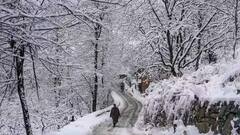 PHOTOS: કાશ્મીરમાં હિમવર્ષાને કારણે સામાન્ય જનજીવન પ્રભાવિત, શ્રીનગરમાં તમામ ફ્લાઈટ્સ રદ, પર્વતીય વિસ્તારોમાં હિમપ્રપાતની ચેતવણી