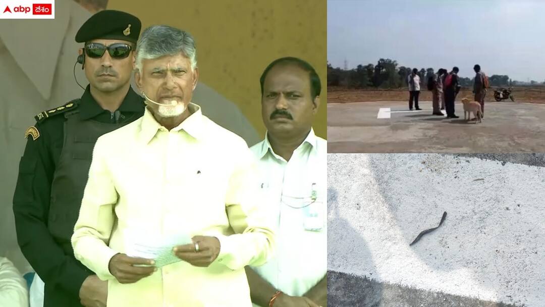 Chandrababu Helipad: చంద్రబాబు హెలీప్యాడ్ వద్ద 'బాంబు' బజర్ - బాంబ్ స్క్వాడ్ తనిఖీలు, చివరకు! bomb squad checking in chintalapudi helipad Chandrababu Helipad: చంద్రబాబు హెలీప్యాడ్ వద్ద 'బాంబు' బజర్ - బాంబ్ స్క్వాడ్ తనిఖీలు, చివరకు!