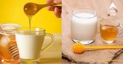 Milk With Honey: ਦੁੱਧ 'ਚ ਸ਼ਹਿਦ ਮਿਲਾ ਕੇ ਪੀਣ ਨਾਲ ਮਿਲਦੇ ਨੇ ਹੈਰਾਨੀਜਨਕ ਫਾਇਦੇ