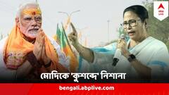 'তুমি প্রাসাদ অট্টালিকাতে থাকবে' মোদিকে 'কুশব্দে' মমতার নিশানা, মুখে মধু দিল বিজেপি