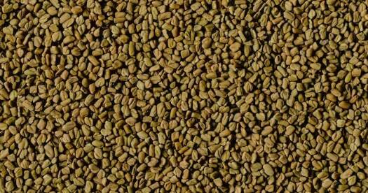 ਜੇਕਰ ਤੁਸੀਂ ਜਲਦੀ ਰਿਟਰਨ ਅਤੇ ਚੰਗਾ ਮੁਨਾਫਾ ਚਾਹੁੰਦੇ ਹੋ ਤਾਂ ਧਨੀਆ ਵੀ ਤੁਹਾਡੇ ਲਈ ਵਧੀਆ ਵਿਕਲਪ ਹੈ। ਮੰਡੀ ਵਿੱਚ ਇਸ ਦੀ ਕਾਫੀ ਮੰਗ ਹੈ ਅਤੇ ਇਸ ਦੀ ਫਸਲ 45-60 ਦਿਨਾਂ ਵਿੱਚ ਤਿਆਰ ਹੋ ਜਾਂਦੀ ਹੈ।