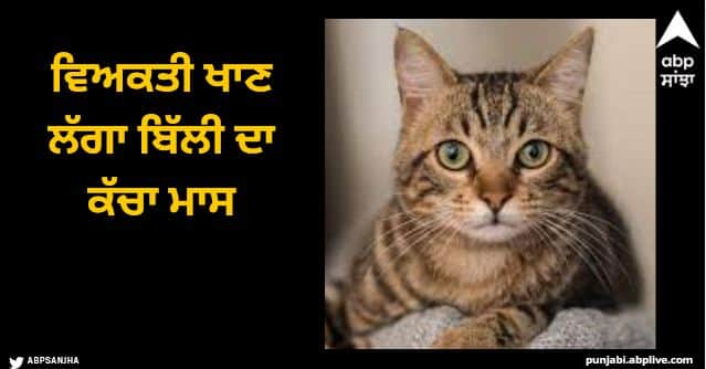 man was worried about hunger started eating raw cat meat Viral News: ਵਿਅਕਤੀ ਖਾਣ ਲੱਗਾ ਬਿੱਲੀ ਦਾ ਕੱਚਾ ਮਾਸ, ਹੈਰਾਨ ਰਹਿ ਗਏ ਲੋਕ