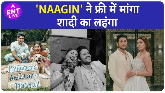 Surbhi Chandna अपनी शादी में पहनना चाहती हैं Free का लहंगा, Designer ने शेयर किए Chat के Screenshot