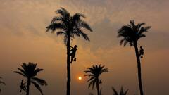 Weather Update: বঙ্গে ফের দুর্যোগের পূর্বাভাস, বৃষ্টিতে ভিজবে এই জেলাগুলি