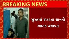 ABP News