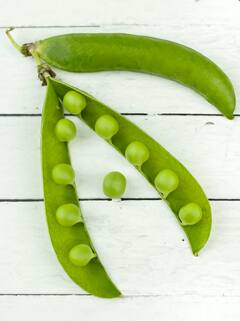 Side effects of Green Peas : हिरव्या वाटाण्याचे फायदे माहीत असतीलच मात्र तोटे देखील जाणून घ्या !