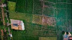 अगर नौकरी छोड़ खेती का प्लान बना रहे हैं तो ये फसलें देंगी जल्दी रिटर्न