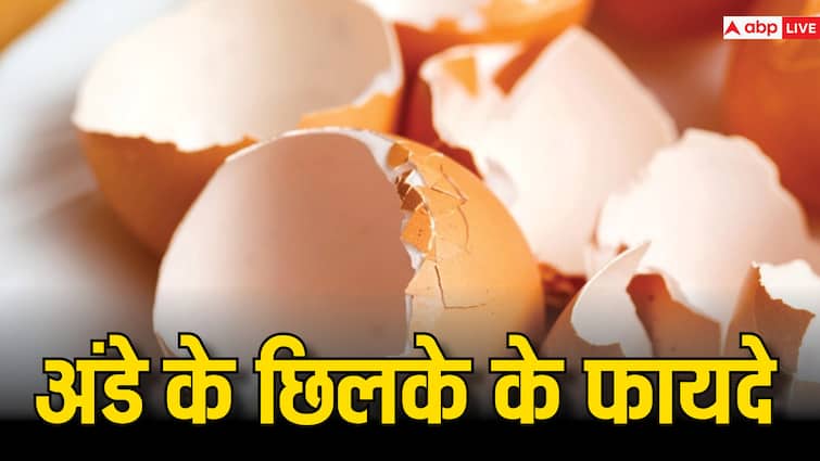 Benefits of Eating Eggshell eggshell calcium powder remedy of joints pain बड़ा फायदेमंद है अंडे का छिलका, ऐसे करेंगे प्रयोग तो हड्डियां हो जायेंगी फौलादी