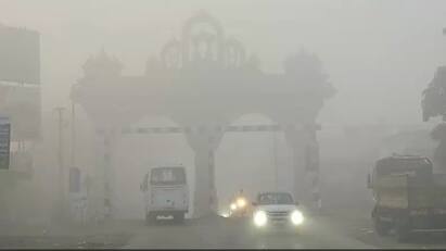 Weather Update: Fog and dew appears in gondal city at early morning at today, farmer was worried Weather Update: ઝાકળથી ઢાંકાયુ રાજકોટનું ગોંડલ શહેર, વહેલી સવારથી જ વાતાવરણ બદલાતા ખેડૂતો ચિંતિત