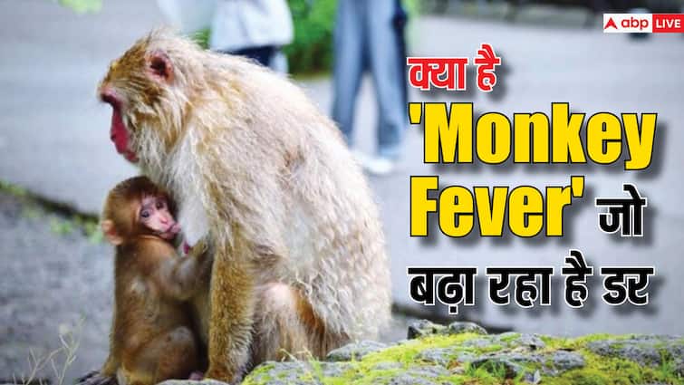 कर्नाटक में मंकी फीवर का कहर, जानिए कितना  खतरनाक है ये बुखार, कैसे करें बचाव