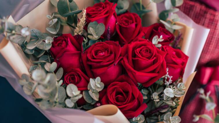 Rose Day 2024 History Significance Of The First Day Of Valentines Week Rose Day 2024: History, Significance- All You Need To Know About The First Day Of Valentine's Week