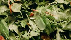 अगर नौकरी छोड़ खेती का प्लान बना रहे हैं तो ये फसलें देंगी जल्दी रिटर्न