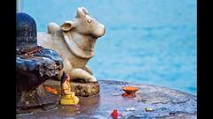 Mahashivratri 2024 : মাস ঘুরলেই শিবরাত্রি, জেনে নিন মহাদেবকে তুষ্ট করার সঠিক সময় ও নিয়ম