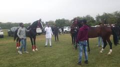 Jodhpur Horse Show: जोधपुर में 9वां राष्ट्रीय मारवाड़ हॉर्स शो, बीएमडब्ल्यू-लैंबॉर्गिनी कार से महंगे हैं इस नस्ल के घोड़े