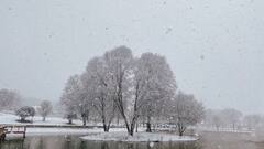 हिमाचल की बर्फबारी से हरियाणा, पंजाब, राजस्थान के मौसम पर क्या होगा असर, किसान भाई देख लें