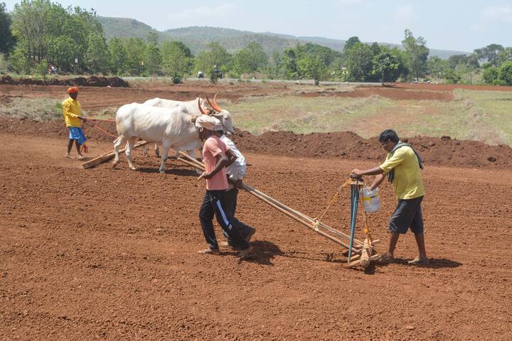 पिछली बार की तरह इस बार भी हजारों किसानों के खाते में इस योजना के पैसे नहीं डाले जाएंगे, हम आपको इसका कारण बताते हैं.
