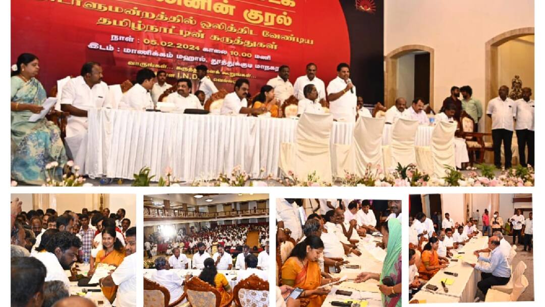 நாடாளுமன்ற தேர்தலில் யார் எந்த தொகுதியில் போட்டியிடுவார்கள் என கழகத்தலைவர் மட்டும்தான் அறிவிக்க முடியும் - கனிமொழி எம்பி