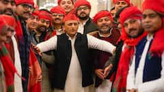 अखिलेश यादव बोले- 'नाम सांड खेत सुरक्षा योजना होना चाहिए, क्या इसके लिए कोई नई भर्ती होगी'