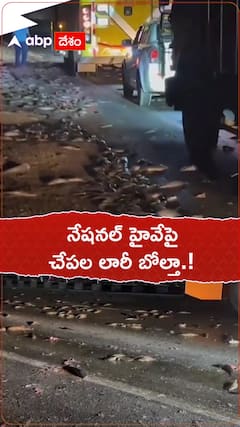 నేషనల్ హైవేపై చేపల లారీకి ప్రమాదం.!