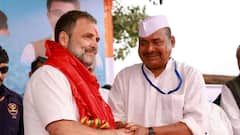 Rahul Gandhi-Led Bharat Jodo Yatra Moves From Jharkhand To Odisha — IN PICS
