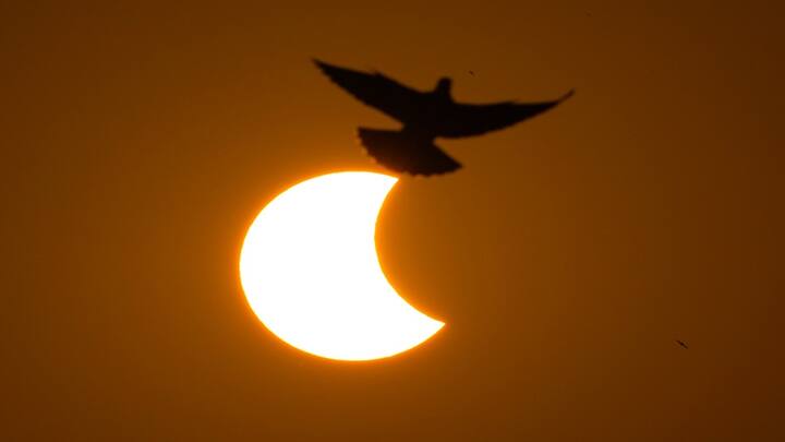 વર્ષનું પ્રથમ સૂર્યગ્રહણ અમેરિકાના 13 રાજ્યોમાં જોવા મળશે. આ ગ્રહણ કેનેડા, દક્ષિણ-પશ્ચિમ યુરોપ, ઓસ્ટ્રેલિયા, પશ્ચિમ એશિયા, દક્ષિણ અમેરિકા, ઉત્તર અમેરિકા, પેસિફિક મહાસાગર, એટલાન્ટિક મહાસાગર, ઉત્તર ધ્રુવ, દક્ષિણ ધ્રુવ, ઈંગ્લેન્ડ અને આયર્લેન્ડના ઉત્તર પશ્ચિમ પ્રદેશમાં જોઈ શકાશે.