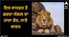 Viral News: ਇਸ ਜਾਨਵਰ ਤੋਂ ਡਰਦਾ ਜੰਗਲ ਦਾ ਰਾਜਾ ਸ਼ੇਰ, ਜਾਣੋ ਕਾਰਨ