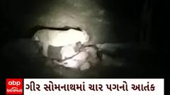 ABP News