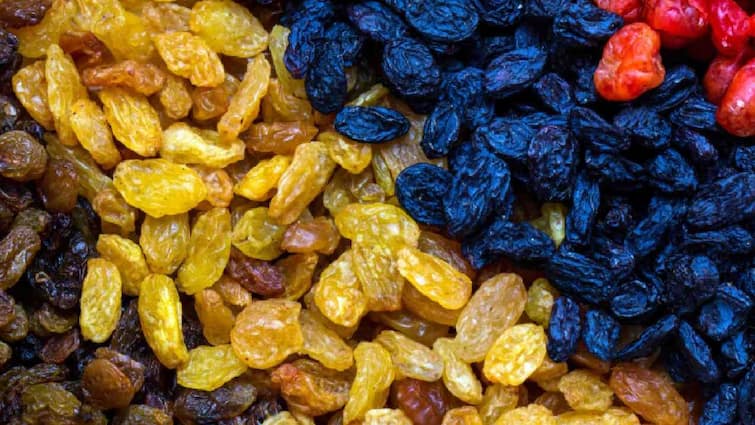 best for health best raisins in india sultanas golden kishmish is best Know all Benefits Maharashtra Marathi News Health Tips: मनुके आरोग्यासाठी अत्यंत फायदेशीर, पण कोणत्या रंगाचे खावेत माहितीय?
