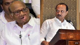Ajit Pawar: சரத் பவாருக்கு பேரிடி.. தேசியவாத காங்கிரஸ் கட்சி யாருக்கு சொந்தம்? தேர்தல் ஆணையம் அதிரடி