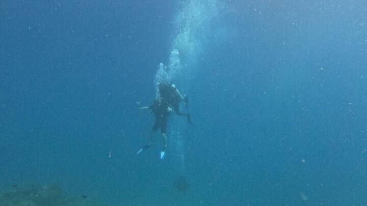 সোশ্যাল মিডিয়ায় মিমির এই ছবি, ভিডিও সবই বেশ প্রশংসা পেয়েছে। তবে কোথায় সফরে গিয়েছেন মিমি, তা তিনি সোশ্যাল মিডিয়ায় পোস্ট করেননি।