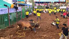 மாதாகோட்டை ஜல்லிக்கட்டு போட்டி; சிறந்த மாடுபிடி வீரர்களுக்கு வழங்கப்பட்ட பரிசுகள்