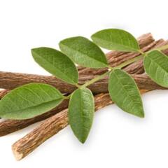 Liquorice Benefits: ਸਰੀਰਕ ਬਿਮਾਰੀਆਂ ਤੋਂ ਇਲਾਵਾ ਵਾਲਾਂ ਲਈ ਵੀ ਫਾਇਦੇਮੰਦ ਹੈ ਮੁਲੱਠੀ