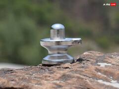 Masik Shivratri 2024: 8 फरवरी को मासिक शिवरात्रि, घर लें आएं ये 5 चीजें, दांपत्य जीवन रहेगा सुखी