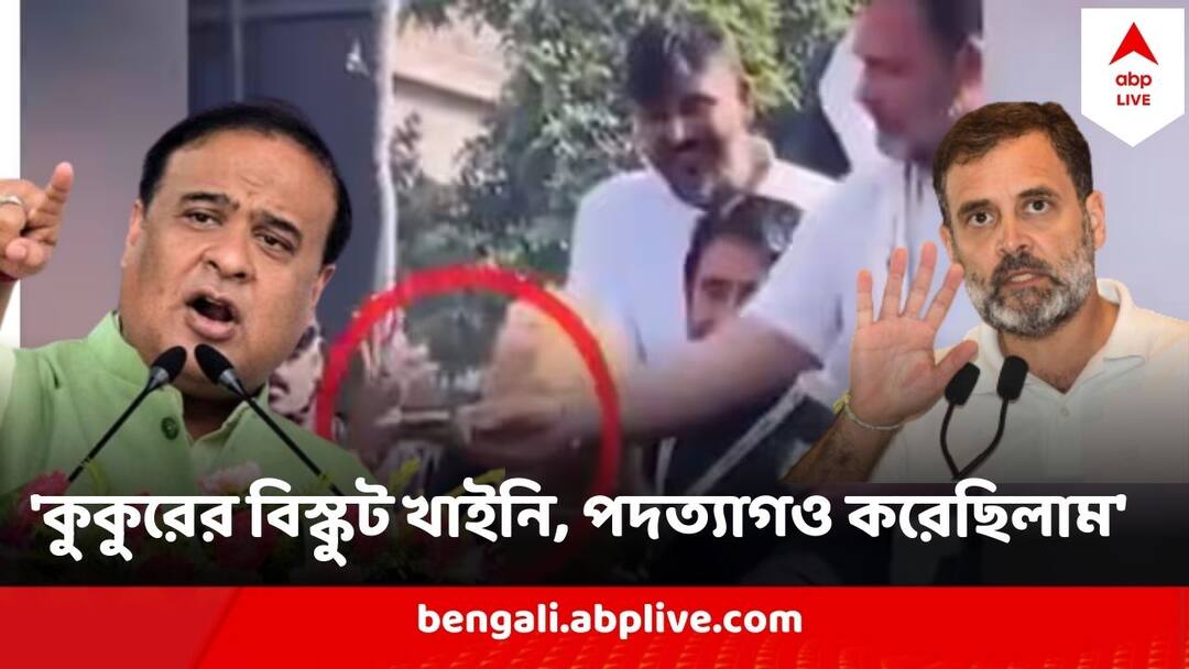Rahul Gandhi offering same biscuits to puppy himanta sarmas remarks sparks row Rahul Gandhi Puppy Row : 'কুকুরের বিস্কুট খাইনি, পদত্যাগও করেছিলাম' রাহুলের ভাইরাল ভিডিও ঘিরে বিস্ফোরক অসমের মুখ্যমন্ত্রী