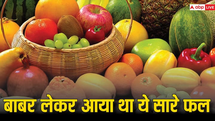 History behind origin of fruits Babur brought Grapes Apple Muskmelon to India Fruits fact बाबर लेकर आया था अंगूर, अनार और खरबूजा जैसे फल, जानिए फलों के इतिहास का देसी-विदेशी कनेक्शन