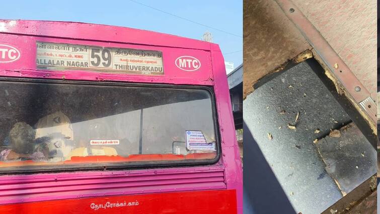 Chennai mtc Bus Accident Female Passenger Get Injury know details Chennai: சென்னை மாநகரப் பேருந்தில் திடீர் ஓட்டை; ஓடும் பேருந்தில் இருந்து கீழே விழுந்த பெண் - அச்சச்சோ!