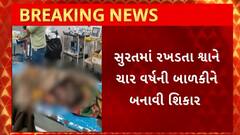 Surat News : પાંડેસરામાં રખડતા શ્વાને વધુ એક બાળકીનો લીધો ભોગ