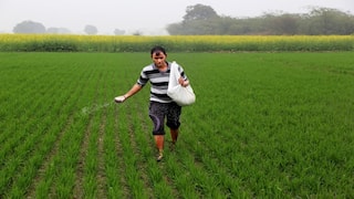 Urea Fertilizer: શું યુરિયા ખાતરની સાથે અન્ય વસ્તુ ફરજિયાત ખરીદવા સરકારે આદેશ કર્યો છે? જાણો કૃષિ મંત્રીએ શું કરી સ્પષ્ટતા
