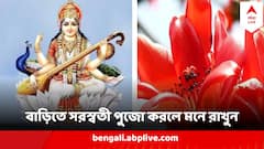 Saraswati Puja : নিজেই করেন সরস্বতীপুজো ? কোনদিকে বসাবেন দেবীকে? কোন উপকরণগুলি বাদ দিলে অসম্পূর্ণ আরাধনা?