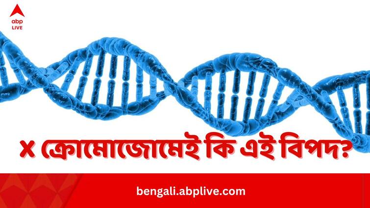 Do You Know Women Have 4 Times Mens Rate Of Autoimmune Disease Than Men Due To X Chromosome Study Suggests Science News:পুরুষের তুলনায় Autoimmune Disease-র আশঙ্কা মহিলাদের বেশি কেন? নেপথ্য়ে X ক্রোমোজোম? আলোড়ন গবেষণায়