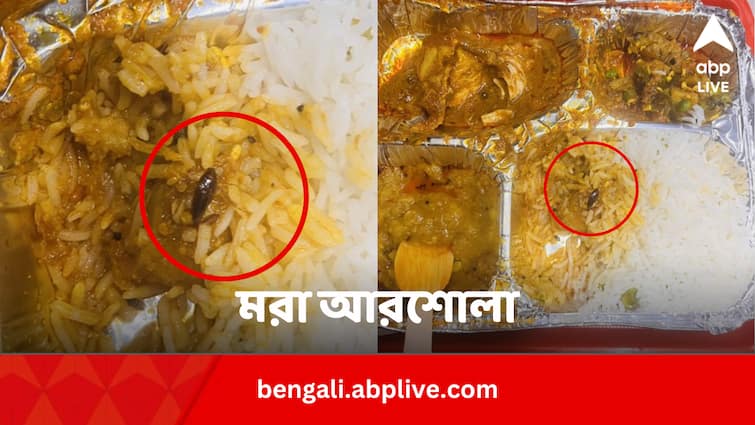 Dead cockroach found in vande Bharat Express food Irctc replied Viral News: ঝাঁ চকচকে বন্দে ভারতের খাবারে মরা আরশোলা ! কী সাফাই IRCTC-এর