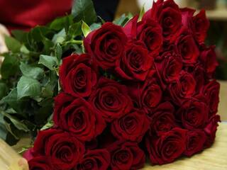 Rose Day 2024: காதலின் சின்னம் ரோஜா! எந்த நிற ரோஜா எந்த உணர்வை வெளிப்படுத்தும்?
