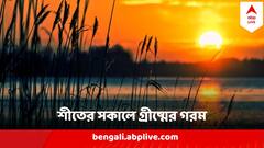 স্বাভাবিকের থেকে ৫ ডিগ্রি বেশি তাপমাত্রা, মাঝ মাঘেই পাততাড়ি গোটাল শীত? আর ফিরবে না?