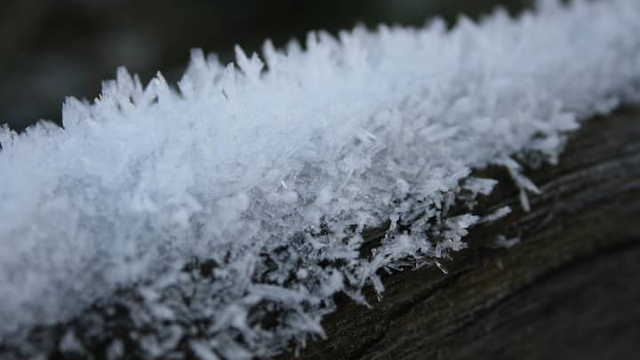 पानी के बारे में तो सबको पता है कि यह जीरो डिग्री सेल्सियस पर पहुंचते ही जमने लगता है. लेकिन क्या आप जानते हैं कि एक इंसान का खून कितने डिग्री सेल्सियस पर जमना शुरू हो जाता है.