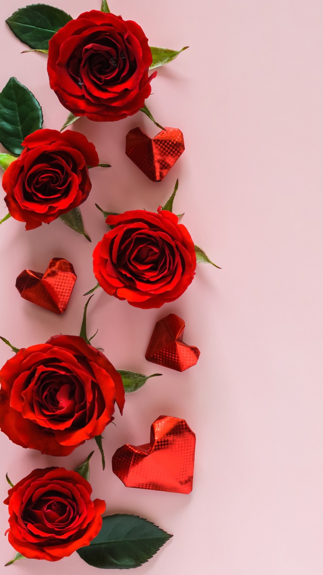Rose Day 2024 Quotes You Can Share With Your Loved Ones