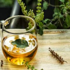 Liquorice Benefits: ਸਰੀਰਕ ਬਿਮਾਰੀਆਂ ਤੋਂ ਇਲਾਵਾ ਵਾਲਾਂ ਲਈ ਵੀ ਫਾਇਦੇਮੰਦ ਹੈ ਮੁਲੱਠੀ